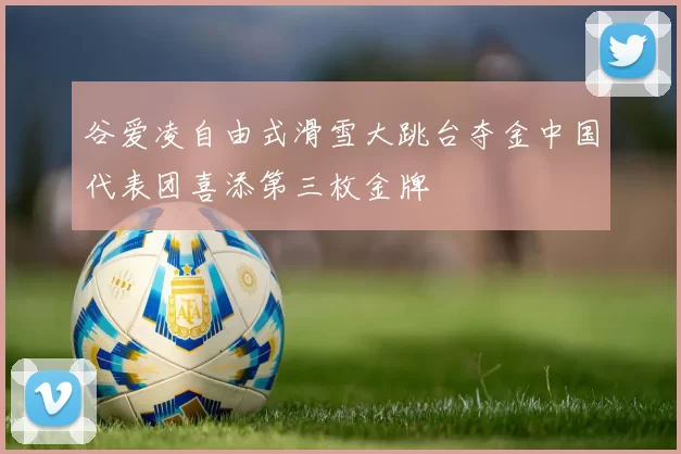 谷爱凌自由式滑雪大跳台夺金中国代表团喜添第三枚金牌