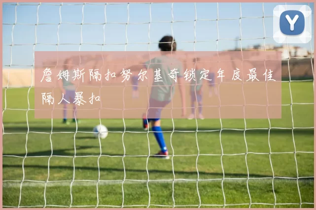 詹姆斯隔扣努尔基奇锁定年度最佳隔人暴扣